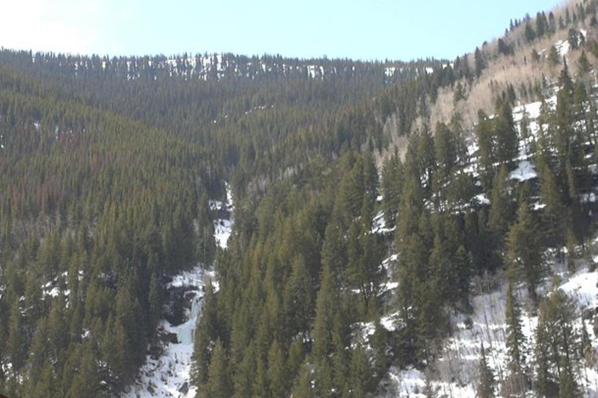 הוילה וייל Pitkin Creek Park 7 חדר תמונה